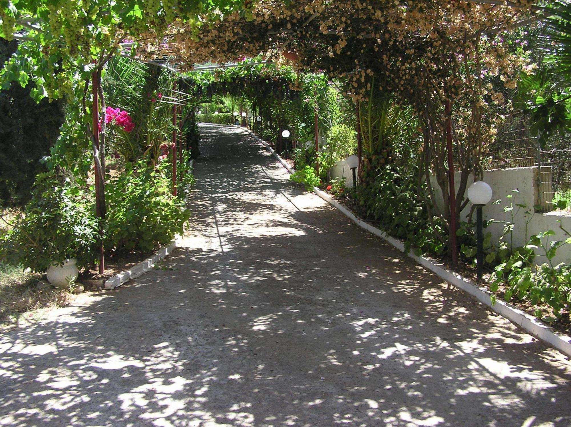 Aparthotel Knossos Pánormos Exterior foto