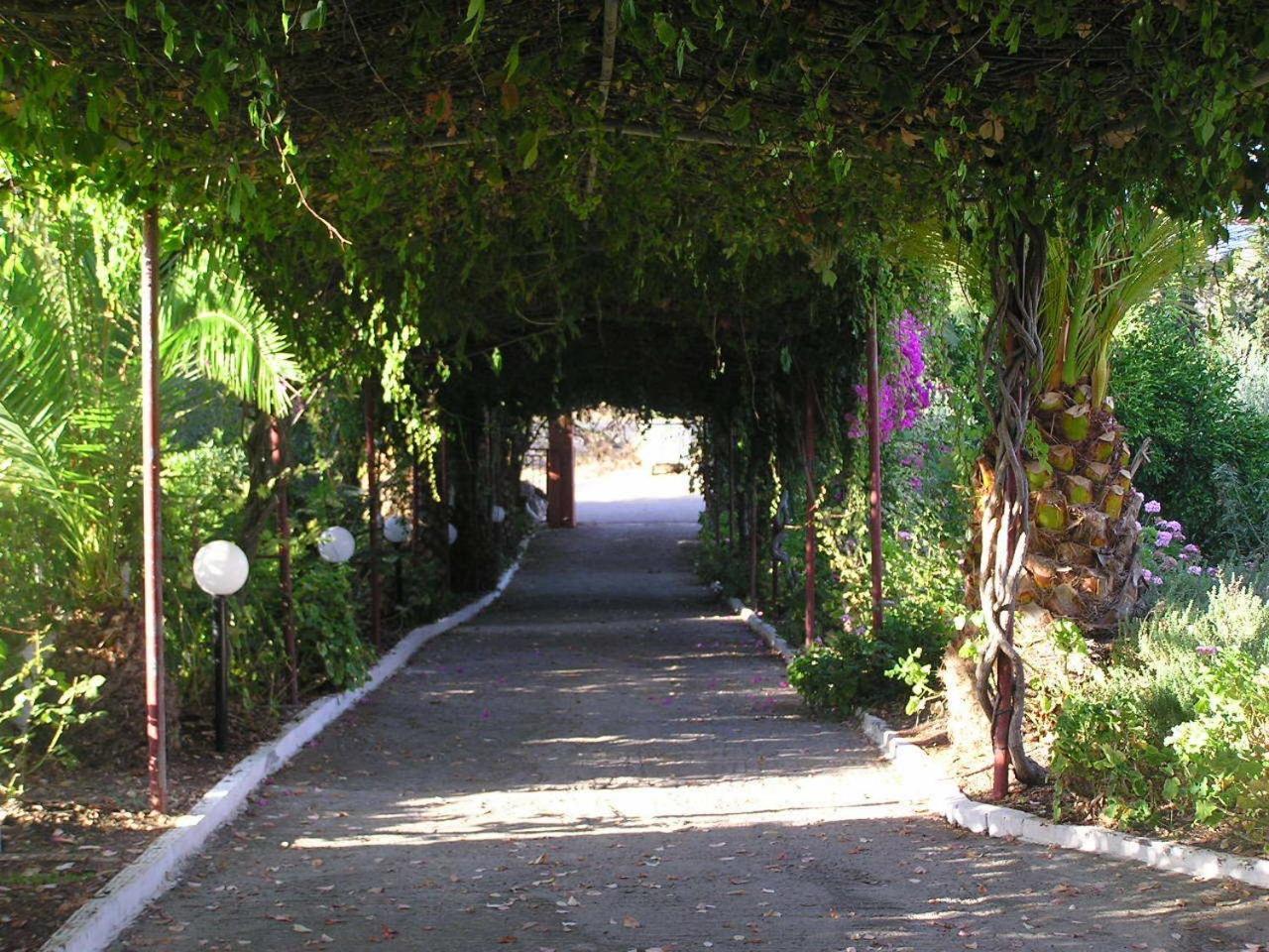 Aparthotel Knossos Pánormos Exterior foto