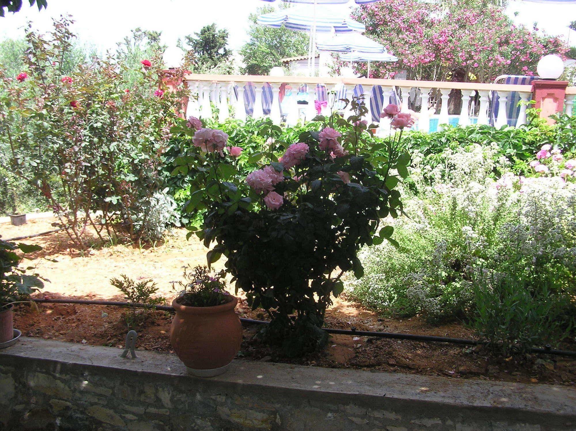 Aparthotel Knossos Pánormos Exterior foto